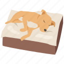 bed, dog, house, lying, pet, puppy