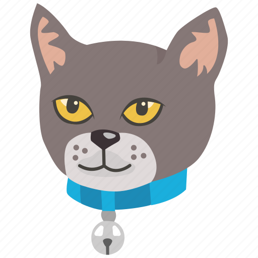 Cat, collar, feline, head, kitten, pet icon - Download on Iconfinder
