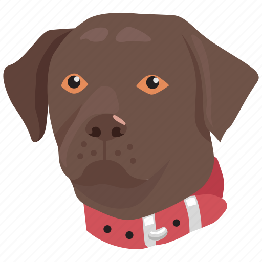 Canine, collar, dog, head, pet, trained icon - Download on Iconfinder