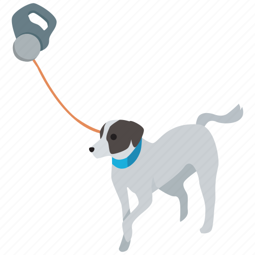 Dog, lead, leash, pet, training, walking icon - Download on Iconfinder