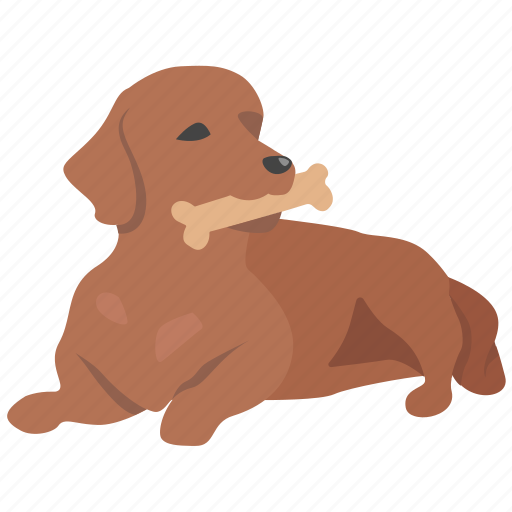 Biscuit, bone, chew, dog, pet, toy icon - Download on Iconfinder