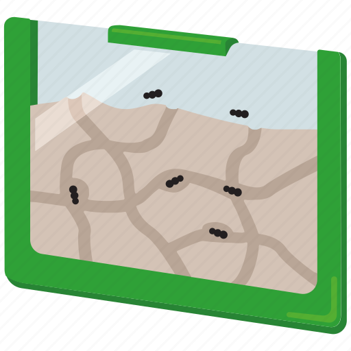 Ant, ant farm, colony, farm, insect, pets icon - Download on Iconfinder