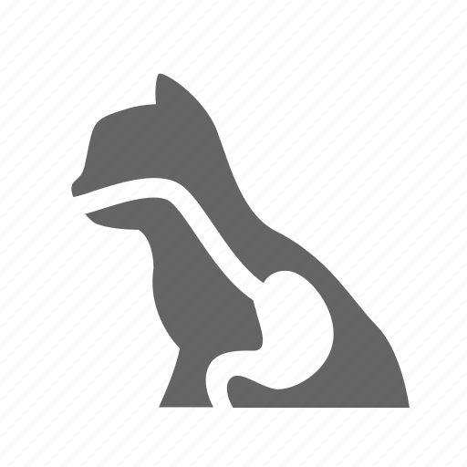 Assimilation, belly, cat, digestion, inside, stomach icon - Download on Iconfinder