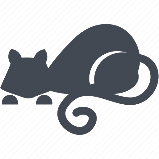Animals, animal, pet, pets, cat, kitty, mammal icon - Download on Iconfinder