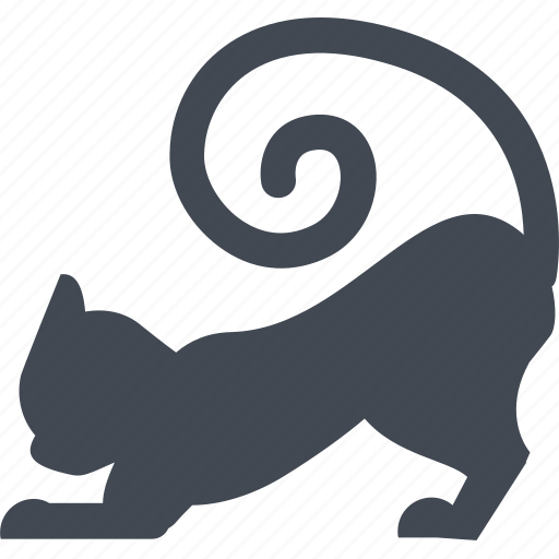 Animals, cute, pets, pet, animal, cat, kitty icon - Download on Iconfinder