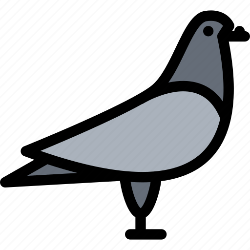 Animals, dove, fauna, pet store, pets, vet icon - Download on Iconfinder