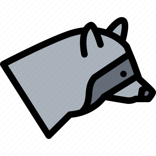 Animals, fauna, pet store, pets, raccoon, vet icon - Download on Iconfinder