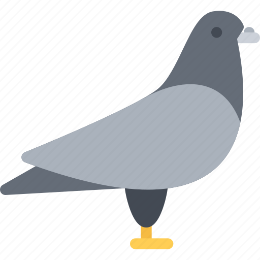 Animal, dove, pet, pet shop, vet, zoo icon - Download on Iconfinder