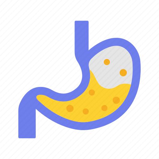 Stomach, digestive, medical, health, human icon - Download on Iconfinder