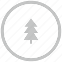border, circle, fir, forest, tree