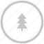 border, circle, fir, forest, tree 