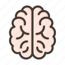 neurology, brain, human, physics, mind