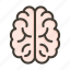 neurology, brain, human, physics, mind 