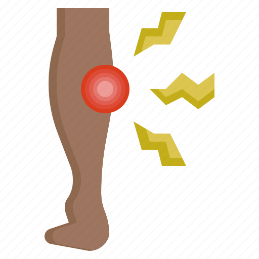 Leg3, muscle, joint, pain, healthcare, medical, anatomy icon - Download on Iconfinder
