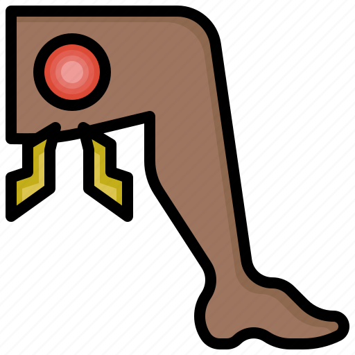 Leg4, muscle, joint, pain, healthcare, medical, anatomy icon - Download on Iconfinder