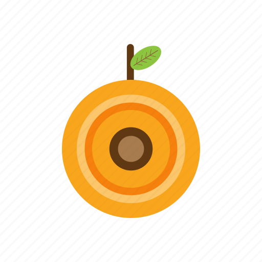 Apricot, drink, food, fruit, nature icon - Download on Iconfinder