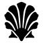 shell, nautical, ocean, ship 