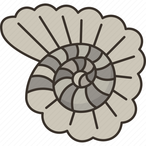 Fossil, shell, ammonite, prehistoric, archaeology icon - Download on Iconfinder
