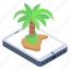 coconut tree, palm tree, tree, tropical tree, beach 
