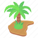 island, beach, palm tree, tropical place, tree