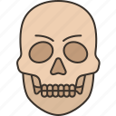 skull, death, bone, human, ancient