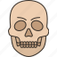 skull, death, bone, human, ancient 