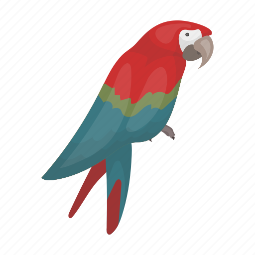 Animal, bird, parrot, talking, tropic icon - Download on Iconfinder