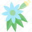 blue, flower, plant, seed 