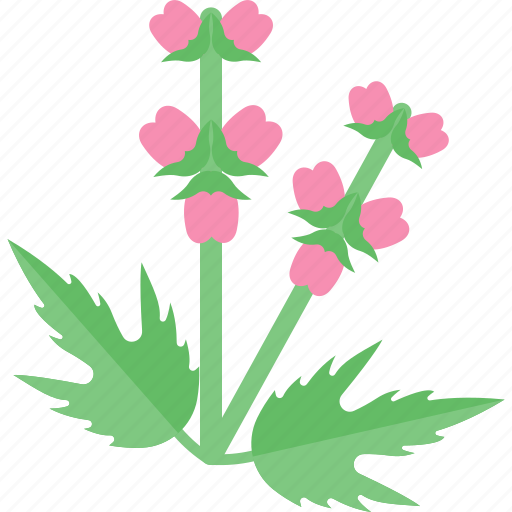 Flower, greenery, plant, seed icon - Download on Iconfinder