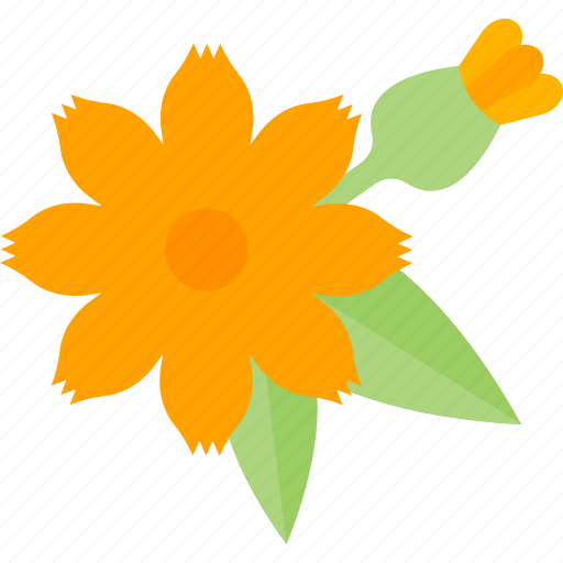 Flower, garden, plant, seed icon - Download on Iconfinder