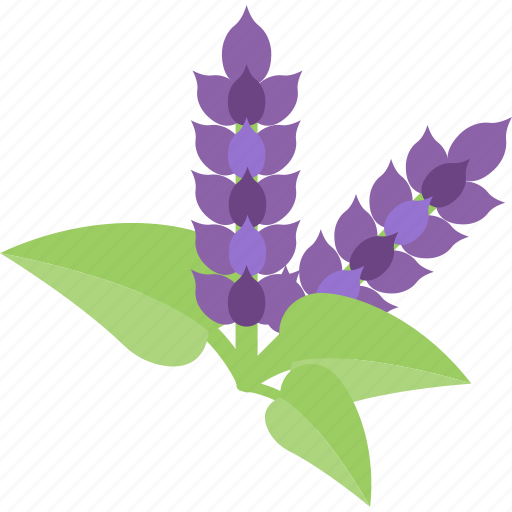 Flower, plant, purple, seed icon - Download on Iconfinder