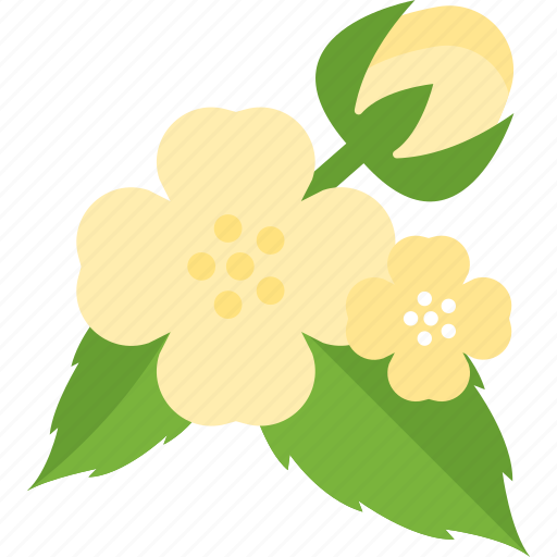 Beauty, flower, plant, seed icon - Download on Iconfinder