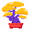 bonsai, plant, flower, leaf