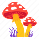mushroom, plant, flower, leaf