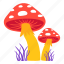 mushroom, plant, flower, leaf 