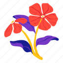 periwinkle, plant, flower, leaf