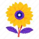 sunflower, plant, flower, leaf