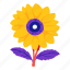 sunflower, plant, flower, leaf 