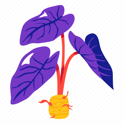 Taro, leaves, plant, flower, leaf icon - Download on Iconfinder