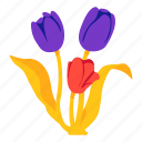 tulips, plant, flower, leaf