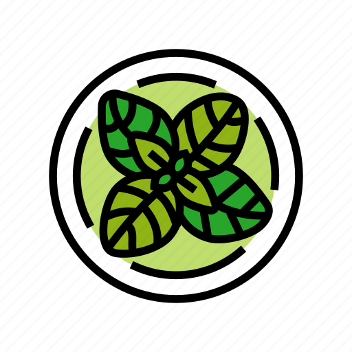 Basil, cosmetic, plant, natural, green, product icon - Download on Iconfinder
