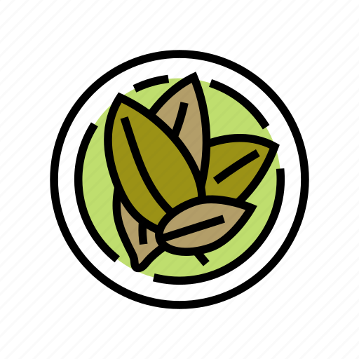 Bay, leaf, cosmetic, plant, natural, green icon - Download on Iconfinder