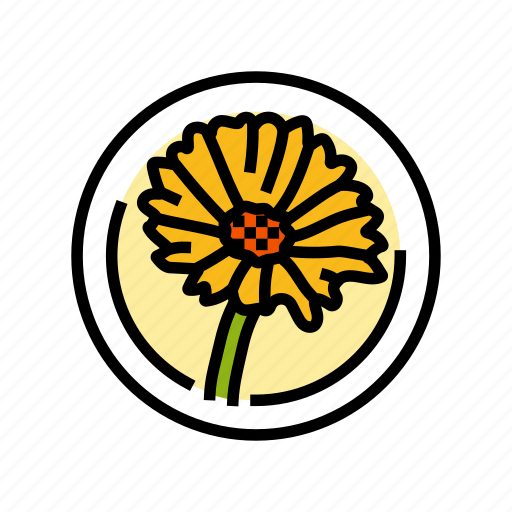 Calendula, cosmetic, plant, natural, green, product icon - Download on Iconfinder