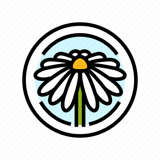 Chamomile, cosmetic, plant, natural, green, product icon - Download on Iconfinder