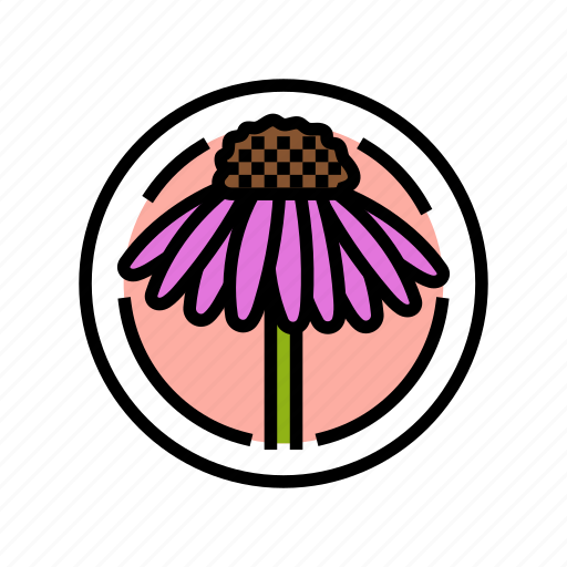 Cone, flower, cosmetic, plant, natural, green icon - Download on Iconfinder