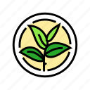 green, tea, leaf, cosmetic, plant, natural