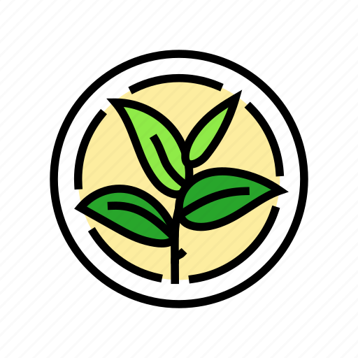 Green, tea, leaf, cosmetic, plant, natural icon - Download on Iconfinder