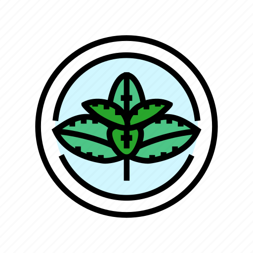 Mint, cosmetic, plant, natural, green, product icon - Download on Iconfinder