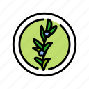 rosemary, cosmetic, plant, natural, green, product