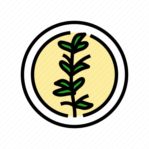 Thyme, cosmetic, plant, natural, green, product icon - Download on Iconfinder